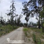 Vista adicional de terreno en venta en Malchingui, Pedro Moncayo, Pichincha