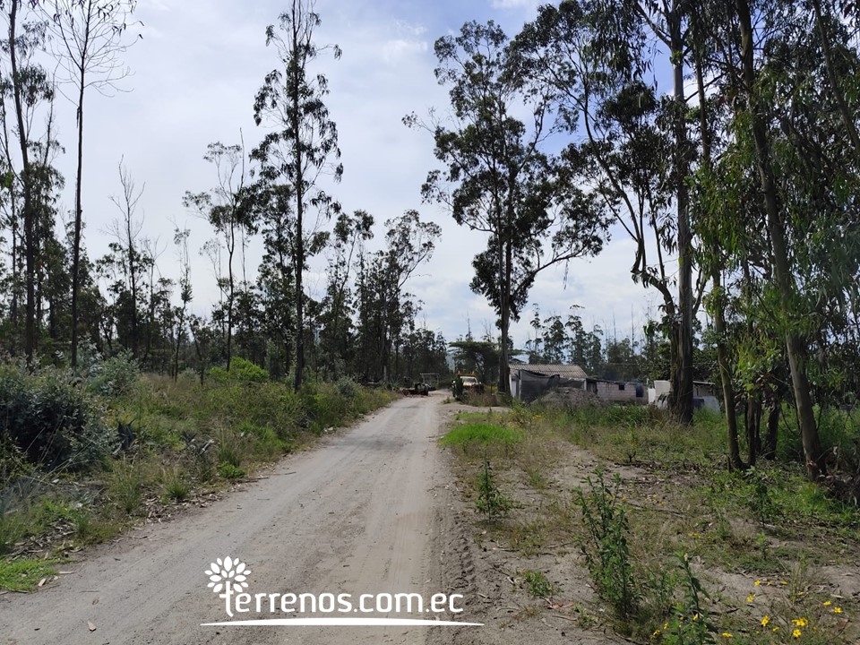 Terreno Independiente de Venta en Malchingui