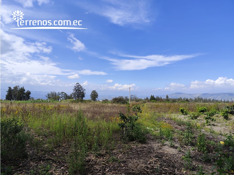 Terreno Independiente de Venta en Malchingui
