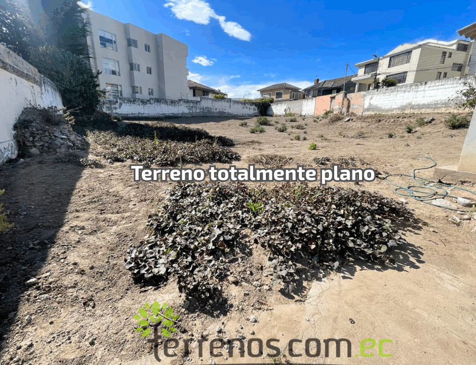 Interna