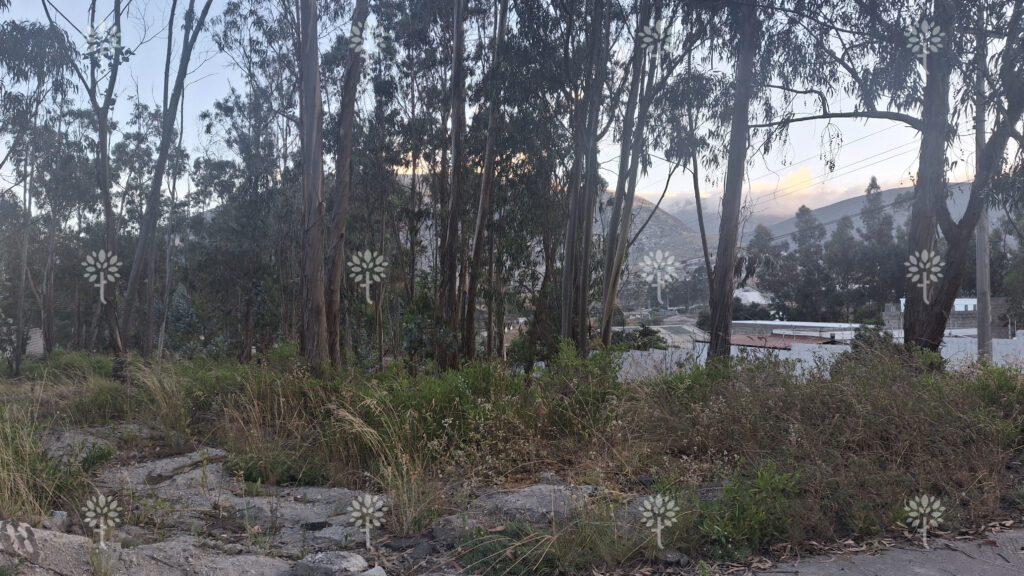 Vista adicional de terreno en venta en San Antonio de Pichincha, Quito, Pichincha