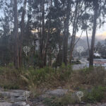 Vista adicional de terreno en venta en San Antonio de Pichincha, Quito, Pichincha