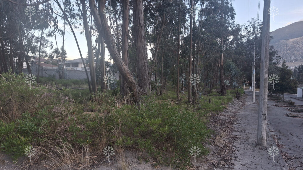 Vista adicional de terreno en venta en San Antonio de Pichincha, Quito, Pichincha