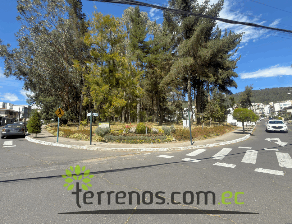 Parque 2