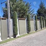 Prado 6