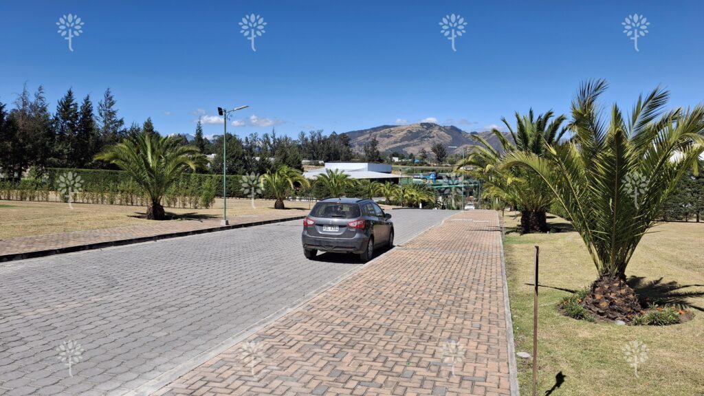 Prado 7