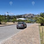 Prado 7