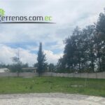 Vista adicional de terreno en venta en Puembo, Quito, Pichincha