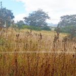 Vista adicional de terreno en venta en Tumbaco, Quito, Pichincha