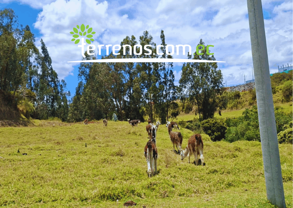Vista adicional de terreno en venta en Alangasi, Quito, Pichincha