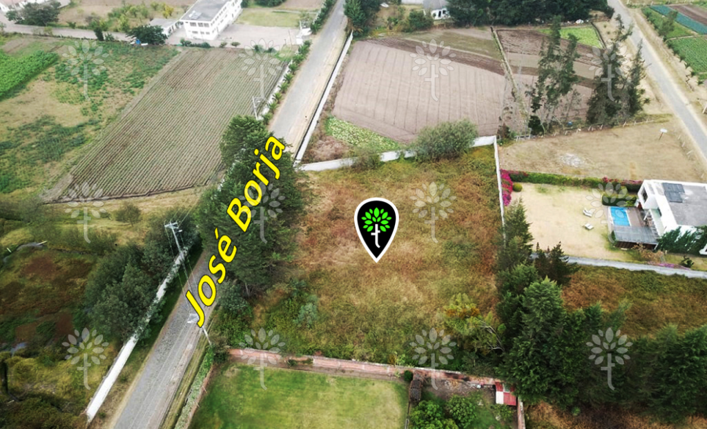 Vista adicional de terreno en venta en Puembo, Quito, Pichincha