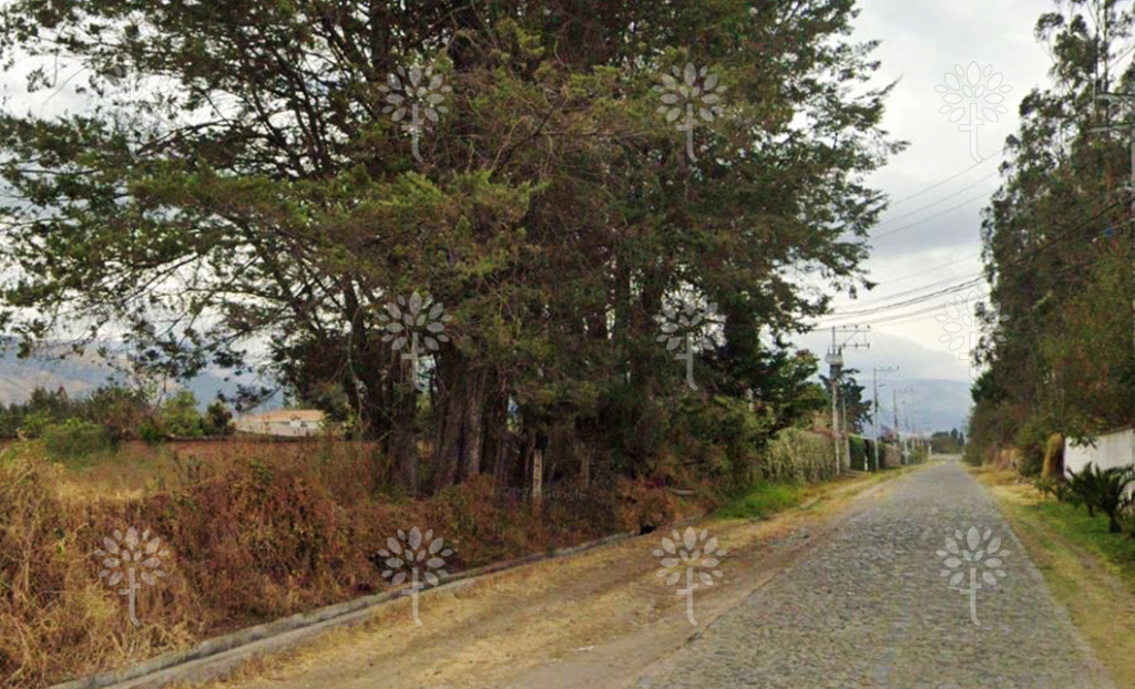 Vista adicional de terreno en venta en Puembo, Quito, Pichincha