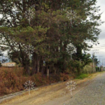 Vista adicional de terreno en venta en Puembo, Quito, Pichincha