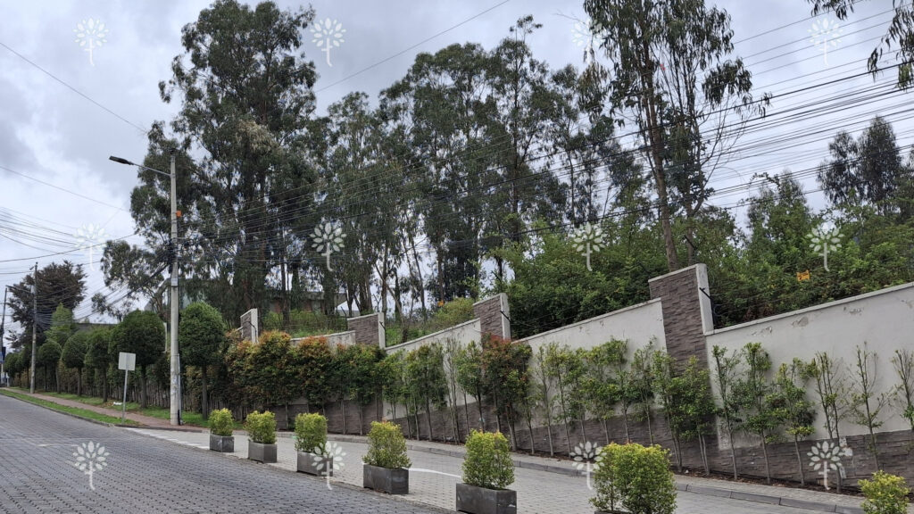 Vista adicional de terreno en venta en Cumbayá, Quito, Pichincha