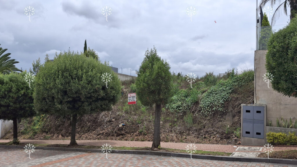 Vista adicional de terreno en venta en Cumbayá, Quito, Pichincha
