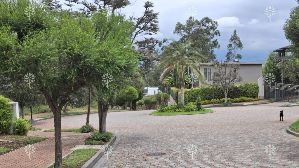 Vista adicional de terreno en venta en Cumbayá, Quito, Pichincha