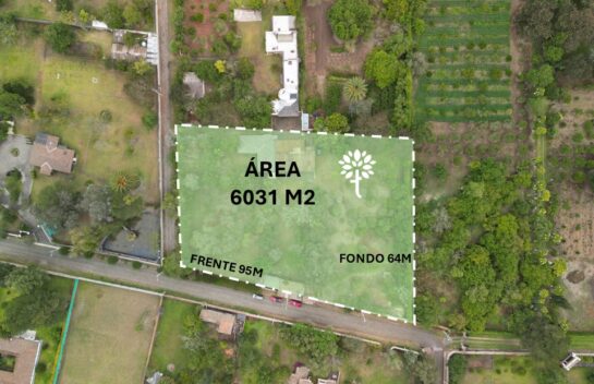 Terreno de Venta, Puembo Urb. Palma Polo Club 6031M2