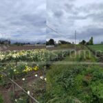 Vista adicional de terreno en venta en Tababela, Quito, Pichincha