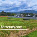 Vista adicional de terreno en venta en Tumbaco, Quito, Pichincha