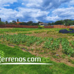 Vista adicional de terreno en venta en Tumbaco, Quito, Pichincha