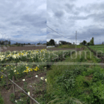 Vista adicional de terreno en venta en Tababela, Quito, Pichincha