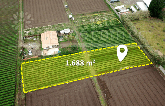 Terreno de Venta en Tababela de 1.688 m2 independiente, cerca al aeropuerto