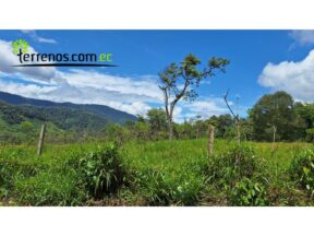 Terreno de Venta, 12.8 Hectáreas, lote 5 Sector El Cielito, Carchi