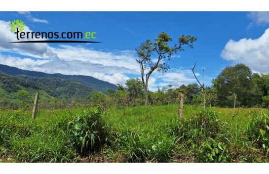 Terreno de Venta, 12.8 Hectáreas, lote 5 Sector El Cielito, Carchi
