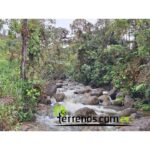 Vista adicional de terreno en venta en Carchi
