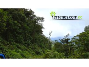 Terreno de Venta, 41.4 Hectáreas, lote 8 Sector El Cielito, Carchi