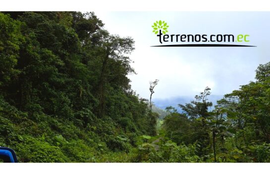 Terreno de Venta, 41.4 Hectáreas, lote 8 Sector El Cielito, Carchi