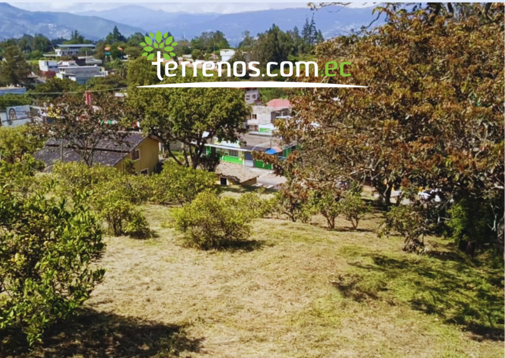 Vista adicional de terreno en venta en Puembo, Quito, Pichincha