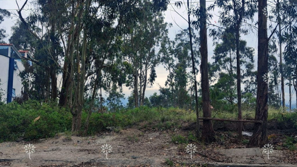 Vista adicional de terreno en venta en San Antonio de Pichincha, Quito, Pichincha