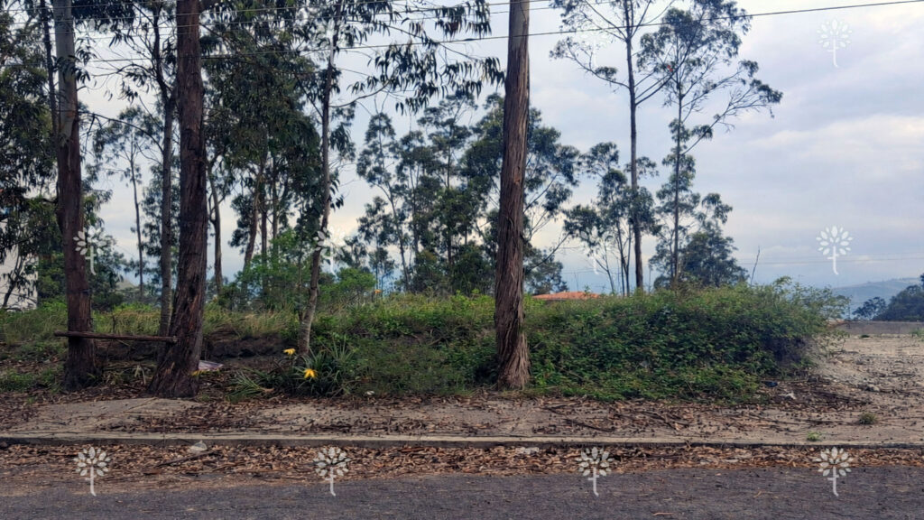 Vista adicional de terreno en venta en San Antonio de Pichincha, Quito, Pichincha