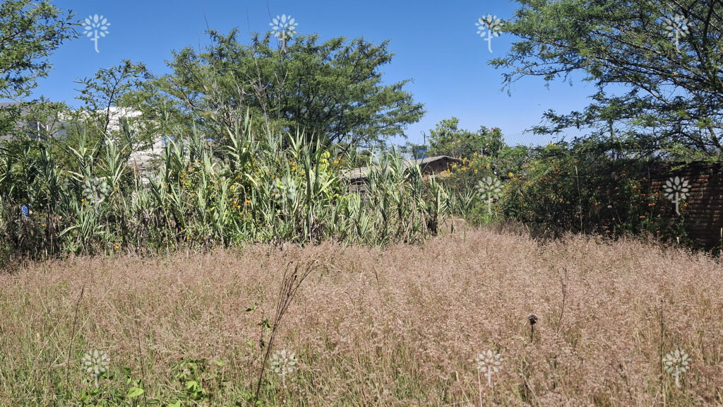 Vista adicional de terreno en venta en Tumbaco, Quito, Pichincha
