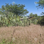 Vista adicional de terreno en venta en Tumbaco, Quito, Pichincha