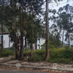Vista adicional de terreno en venta en San Antonio de Pichincha, Quito, Pichincha