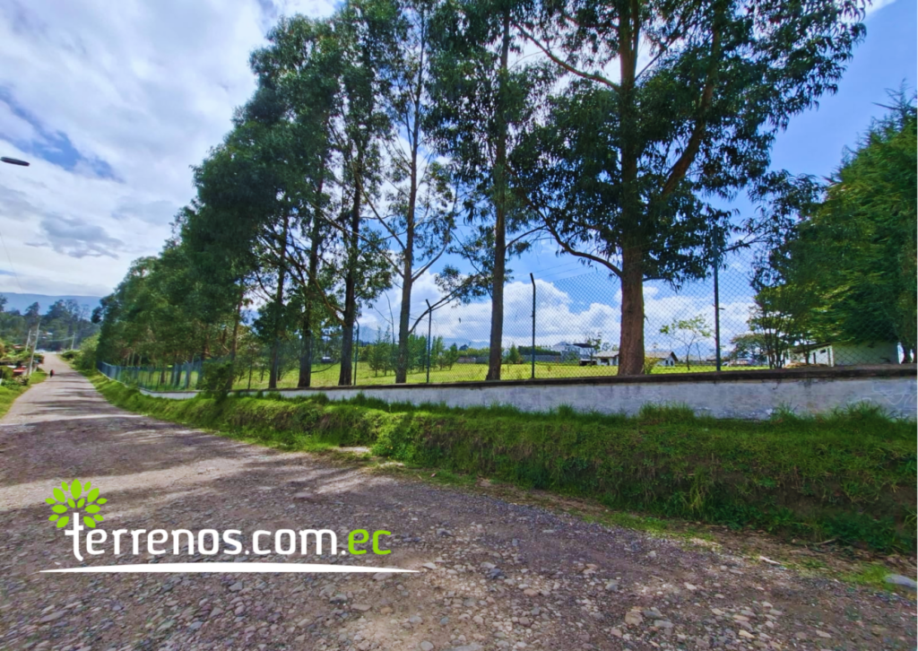 Vista adicional de terreno en venta en Pifo, Quito, Pichincha
