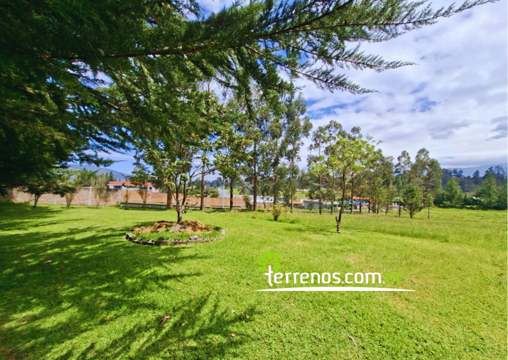 Vista adicional de terreno en venta en Pifo, Quito, Pichincha