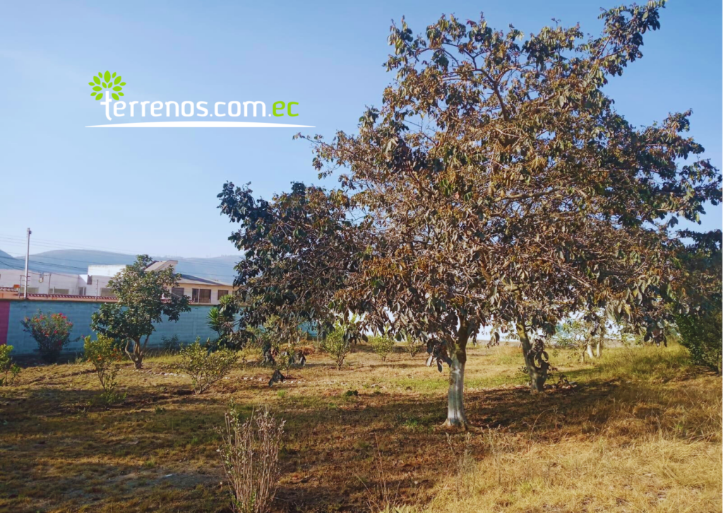 Vista adicional de terreno en venta en Mitad del Mundo, Quito, Pichincha