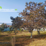 Vista adicional de terreno en venta en Mitad del Mundo, Quito, Pichincha