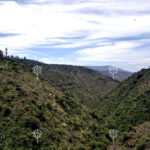 FOTO4