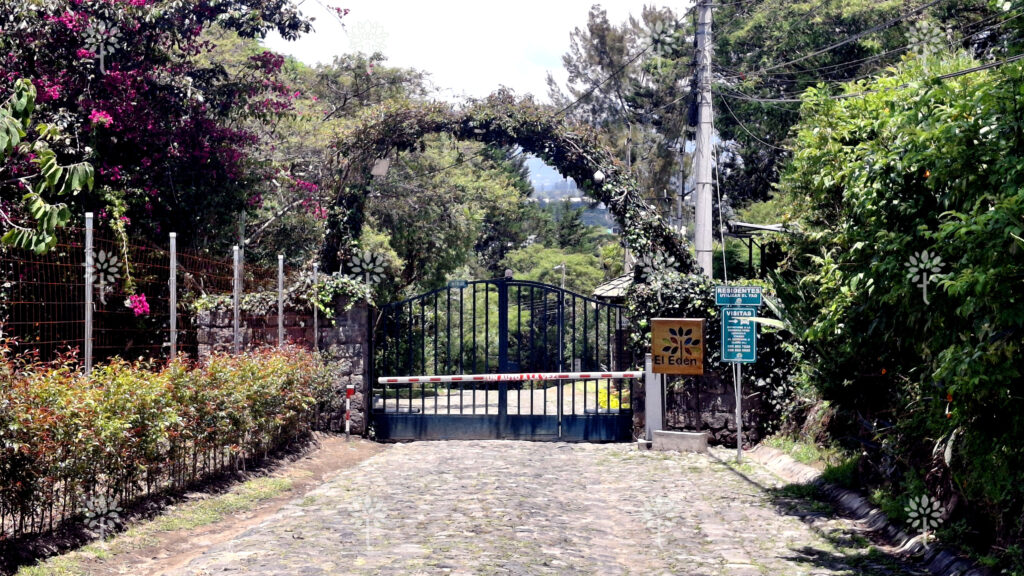 FOTO5
