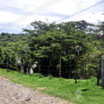 FOTO8