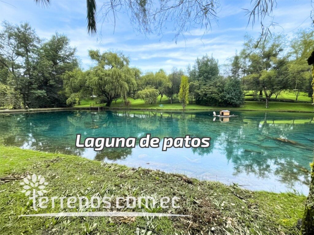 Vista adicional de terreno en venta en Sangolquí, Rumiñahui, Pichincha