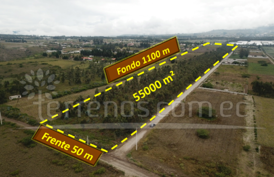 VENTA DE TERRENO EN MALCHINGUI 55000 m2