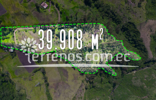 Terreno en venta 3.9 has el Inga. cerca a la E35