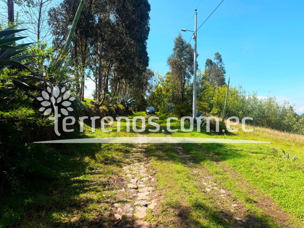 Vista adicional de terreno en venta en Pifo, Quito, Pichincha