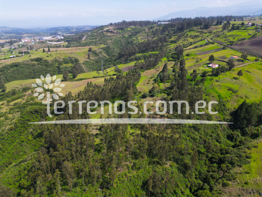 Vista adicional de terreno en venta en Pifo, Quito, Pichincha