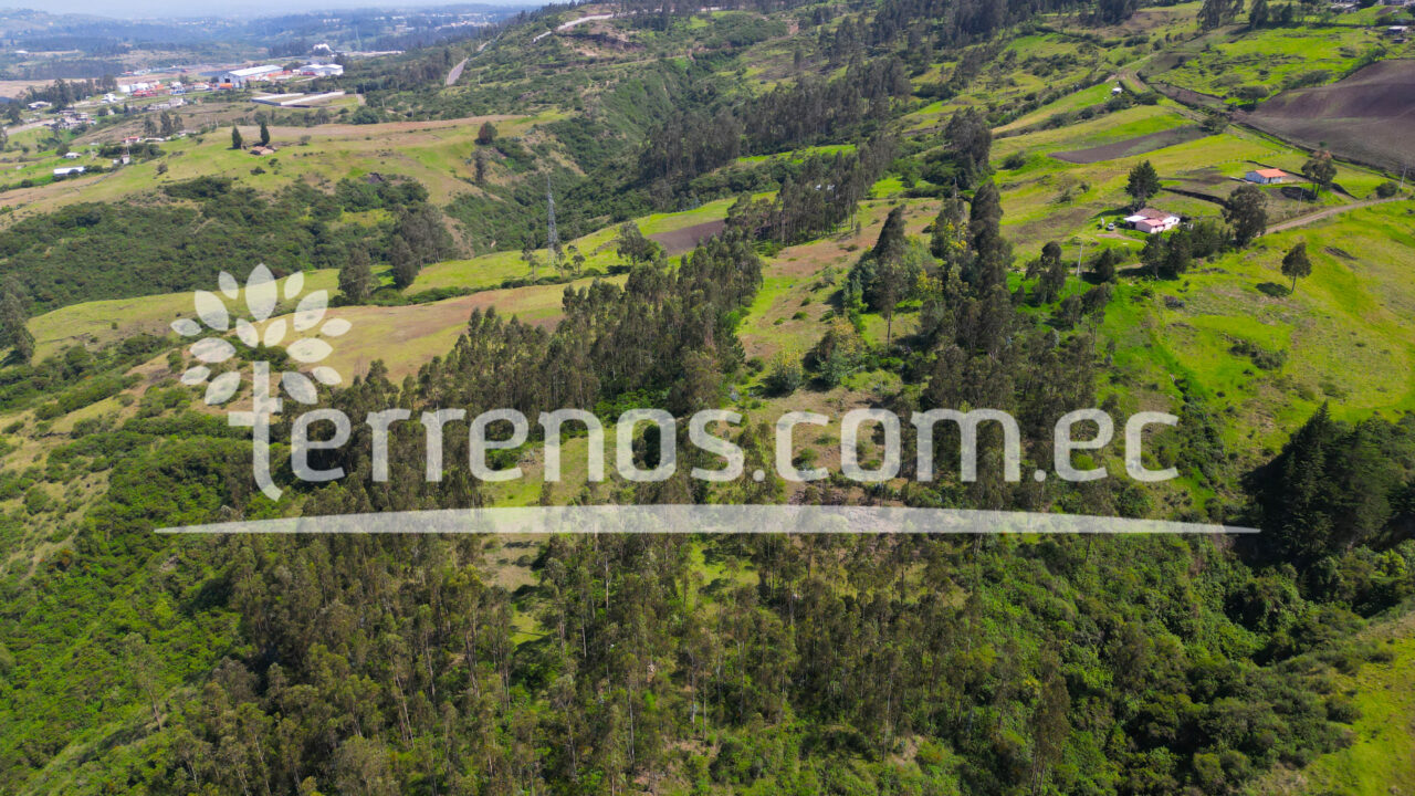 Mesa de trabajo 12